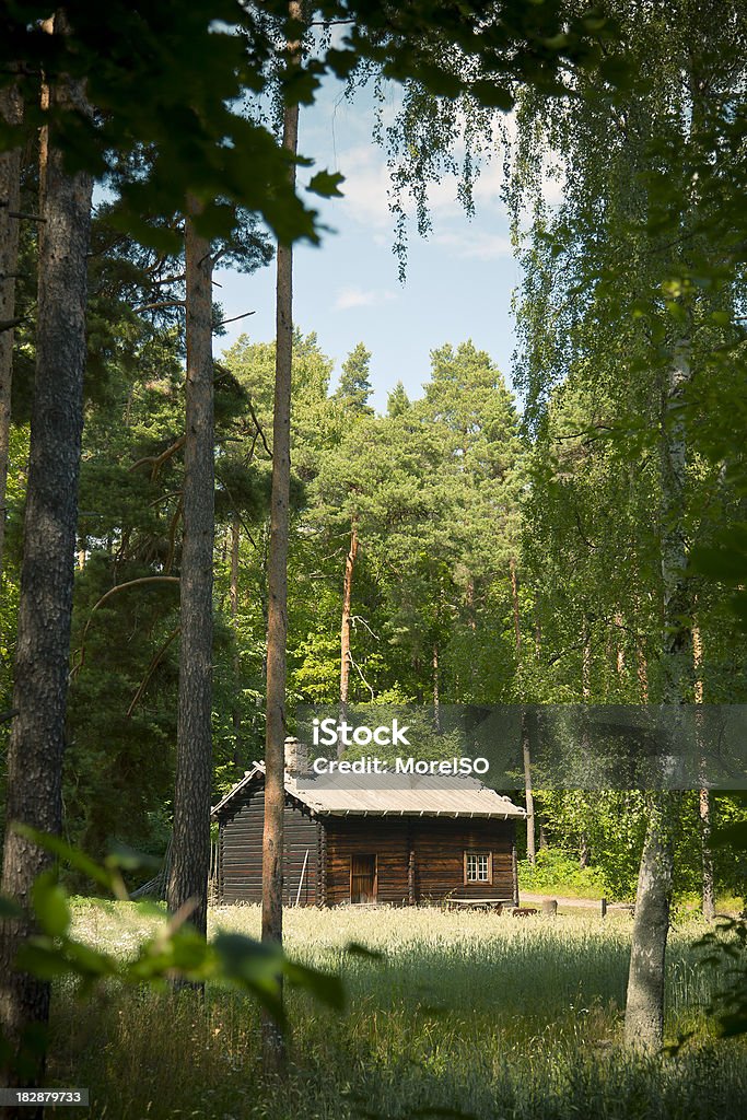 ノルウェー木製のログキャビンの家の森 - シャレーのロイヤリティフリーストックフォト
