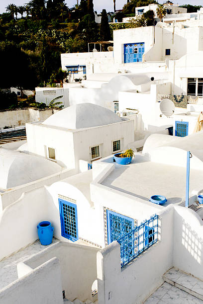 istock Tunisia: White Houses of Sidi Bou Said 182880342