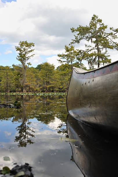 lyly blocos e canoa no caddo lake no texas - lago caddo - fotografias e filmes do acervo