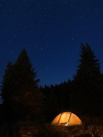 Vertical Panorama of a tent, illuminated from inside, surrounded by a spruce forests and stars on the background. Perfect summer night for camping