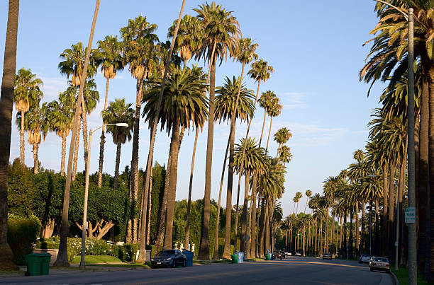 istock Beverly Hills Street 182880670