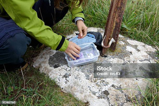 Young Woman Geocaching Stock Photo - Download Image Now - Geocaching, Adult, Box - Container