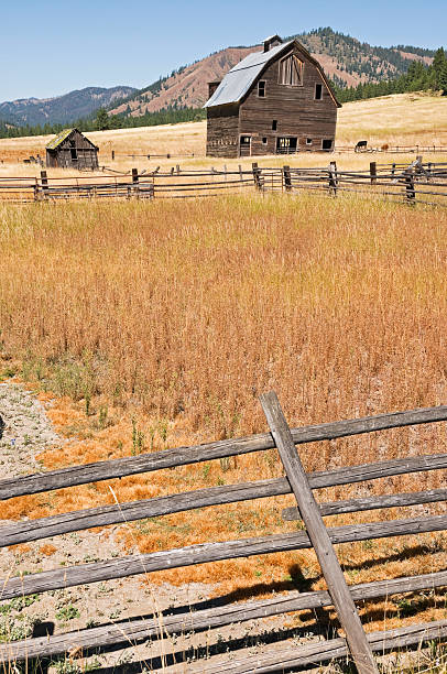 istock Old barn and outbuilding in central Washington state 182881192