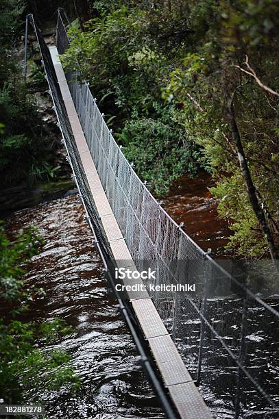 Foto de Ponte Suspensa e mais fotos de stock de Arbusto - Arbusto, Austrália, Aventura