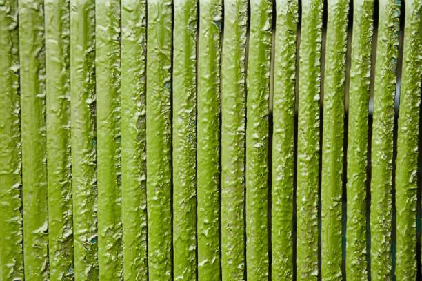 istock The texture of an old metal painted surface. 1828813465
