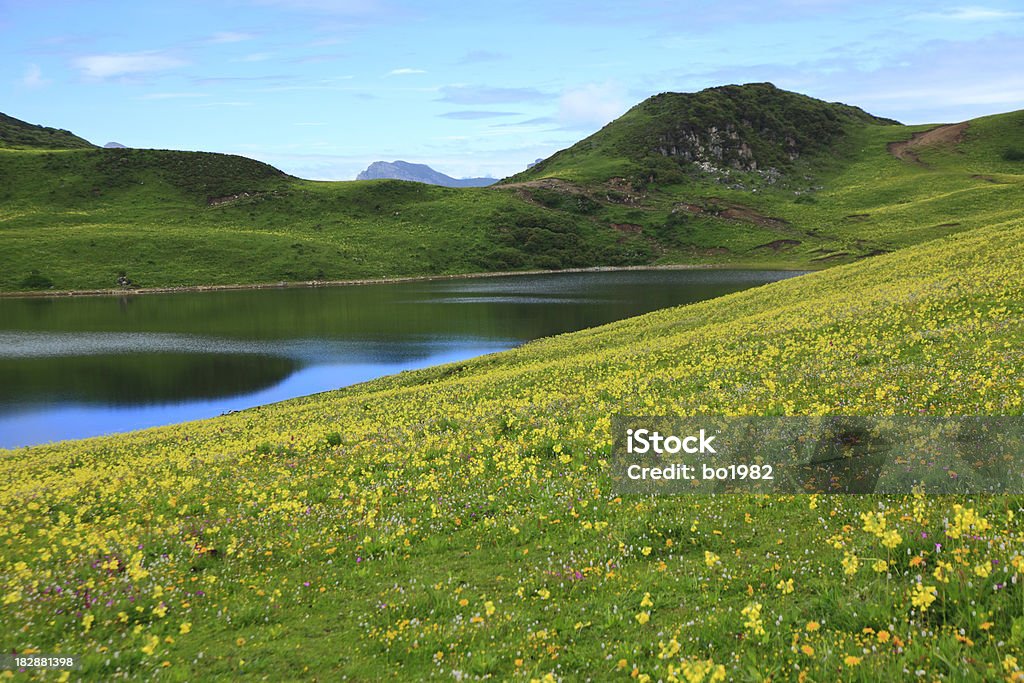 Lago di montagna in primavera - Foto stock royalty-free di Acqua