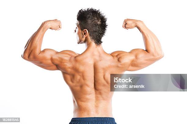 Costas Muscular - Fotografias de stock e mais imagens de Adulto - Adulto, Atleta, Beleza