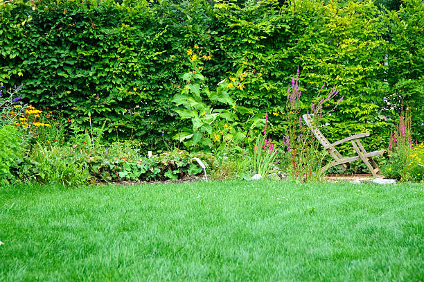 istock Modern Garden with wooden chair 182882031