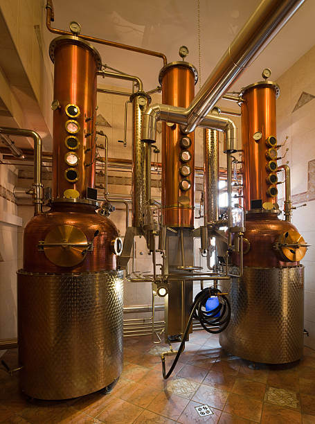 istock In whiskey factory 3 182882272