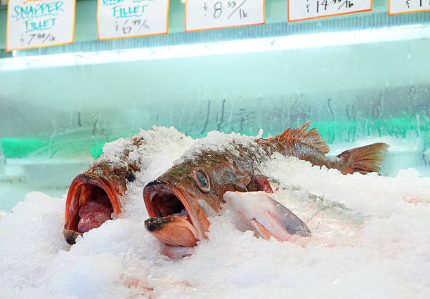 Snapper at Pike Place Market