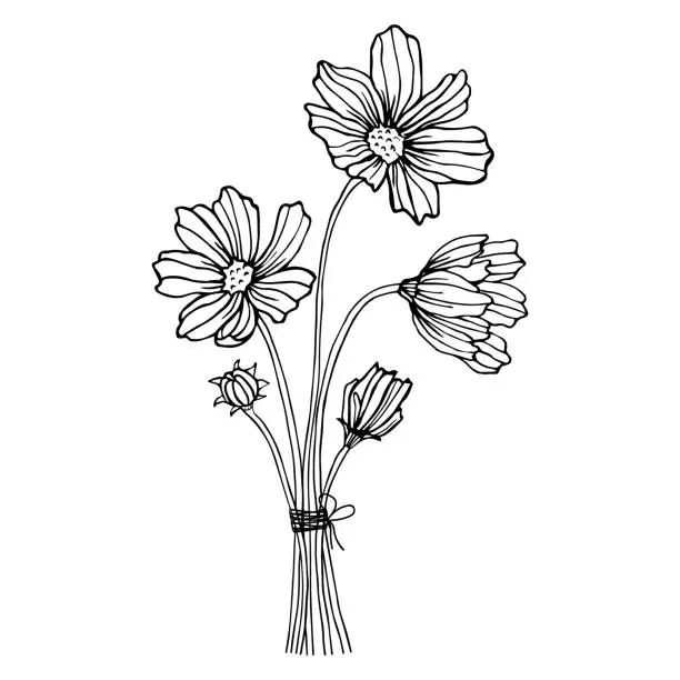 Vector illustration of Cute sketch bouquet simple flowers