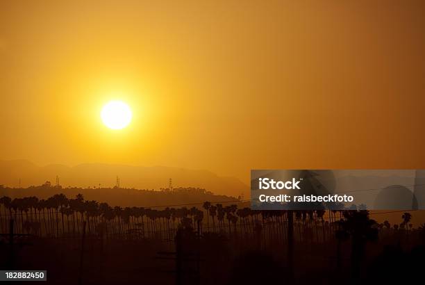 Palmen Bei Sonnenuntergang In Los Angeles Kalifornien Stockfoto und mehr Bilder von Fotografie