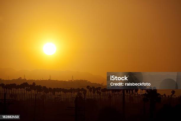 Palmeras Con Puesta De Sol En Los Ángeles California Foto de stock y más banco de imágenes de Aire libre