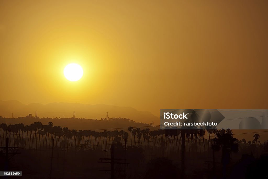 Palmiers et coucher de soleil à Los Angeles, en Californie - Photo de Brume de chaleur libre de droits