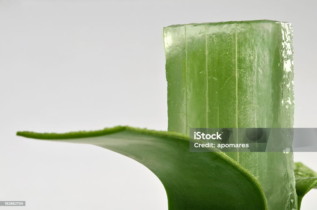 Aloe Vera em close-up - Foto de stock de Babosa royalty-free