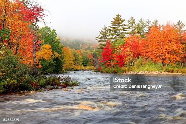 Swift River In New Hampshire Stockfoto und mehr Bilder von Gebirge White Mountains - New Hampshire - Gebirge White Mountains - New Hampshire, New Hampshire, Appalachen-Region