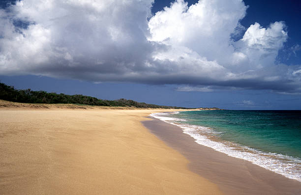 eua, havaí molokai, papohaku praia. - molokai - fotografias e filmes do acervo
