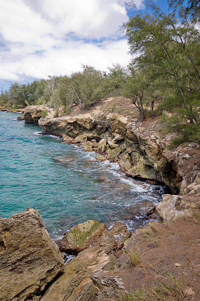 mahaulepu ビーチ、カウアイ島 - mahaulepu beach ストックフォトと画像