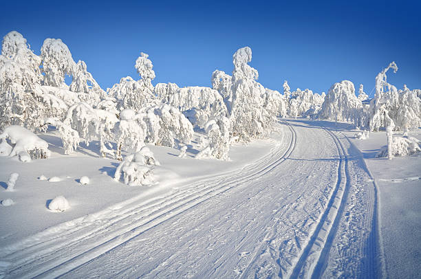 Winter, ski tracks in snow covered landscape stock photo