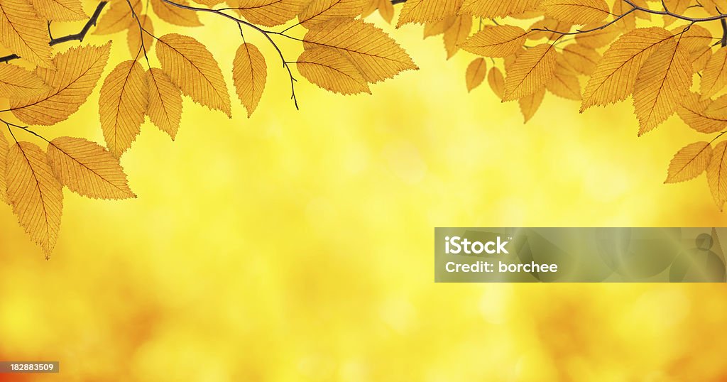 Herbstliche Farben - Lizenzfrei Ast - Pflanzenbestandteil Stock-Foto