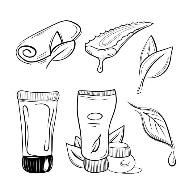 Vector illustration of Vector collection of cosmetic design elements. Nature, organic ingredients and a tube of cream.