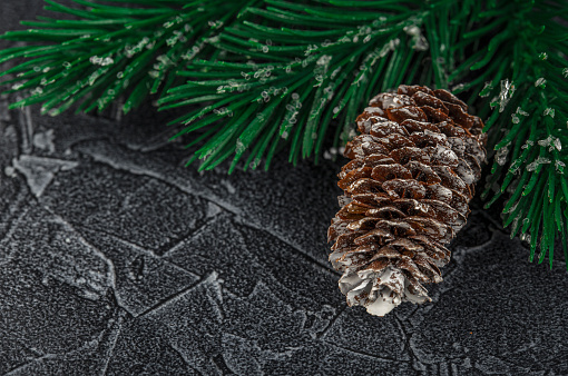 New Year's composition with pine cone and green branches