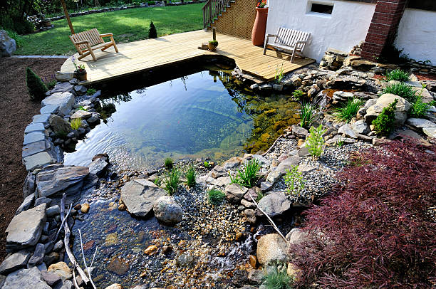 istock Elaborate Man-Made Aquascape 182883846