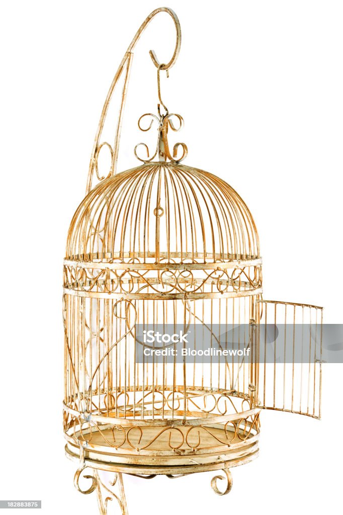 Isolato Gold Cage - Foto stock royalty-free di Gabbia per gli uccelli