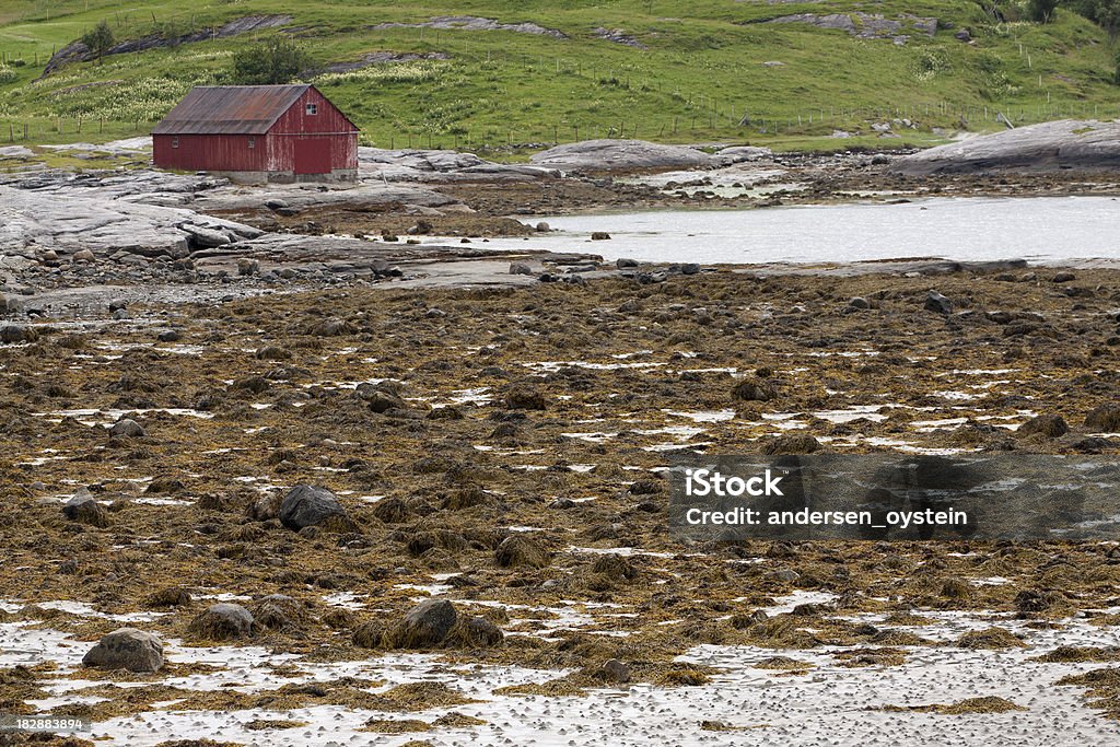 Tradicional de boathouse Noruega. - Foto de stock de Acostado libre de derechos