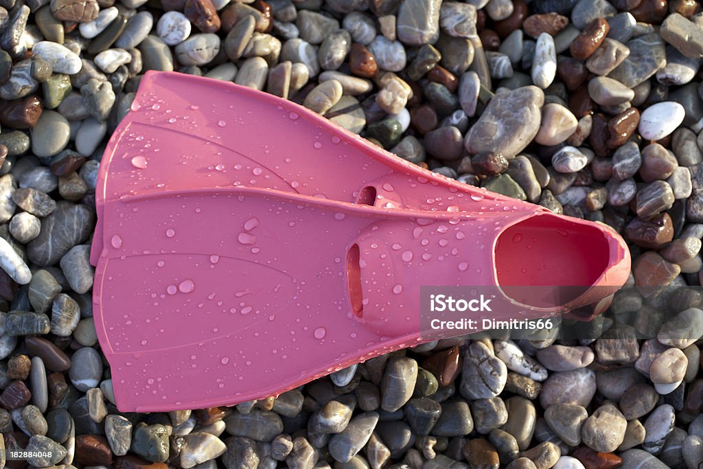 Flippers en pebble - Foto de stock de Aleta - Equipo de buceo libre de derechos