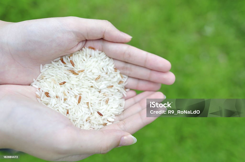 Mão segurando o arroz com fundo verde - Foto de stock de Agricultor royalty-free