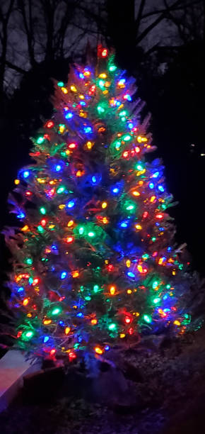 istock Outdoor Christmas Tree with Colored Lights under a Starry Sky 1828845214