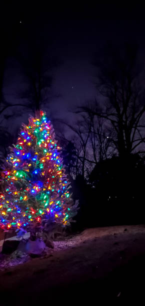 istock Outdoor Christmas Tree with Colored Lights under a Starry Sky 1828845743