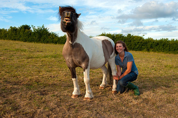 istock Young woman tickling her pony's ankle 182884629