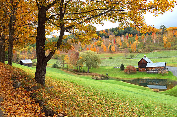 automne dans le vermont - vermont photos et images de collection