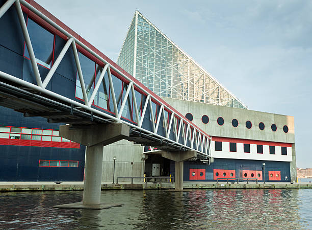 Baltimore's National Aquarium and Walkway at Inner Harbor The National Aquarium in Baltimore is located on East Pratt Street on Pier 3 at the Inner Harbor. The angular glass building is the original aquarium, while the walkway leads visitors to a newer glass pavilion. baltimore maryland stock pictures, royalty-free photos & images
