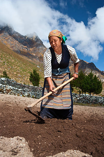 istock Nepali woman working in the field 182885625