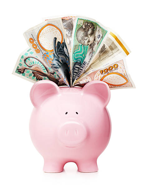 Stuffed piggy bank with Danish Kroner stock photo