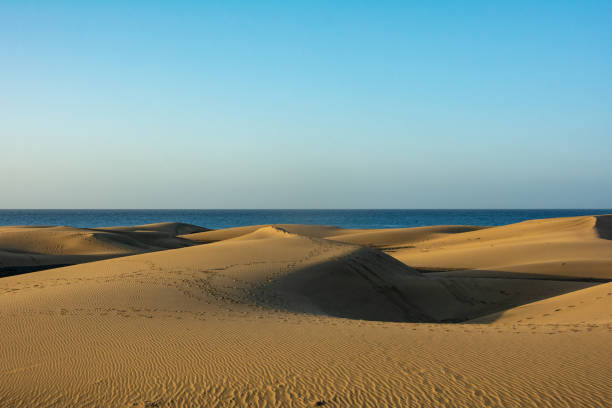 istock Sand dunes with a view to the sea 1828859284