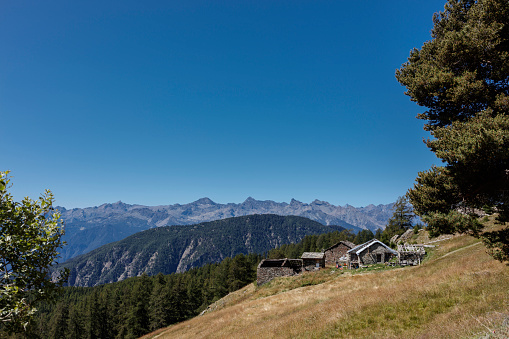 Grazing meadows with shepherds' huts and cowsheds, and mountains in the background (Ayas Valley, Aosta Valley, Italy).