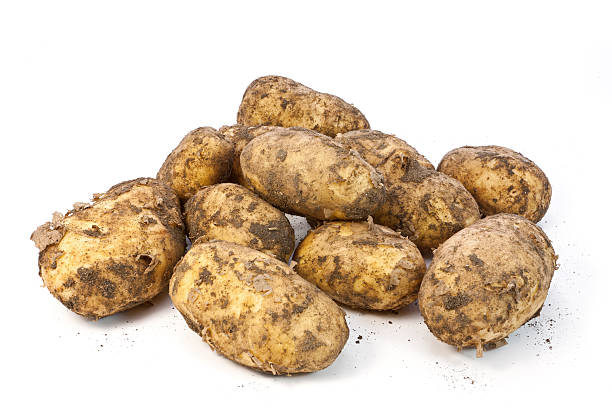 neue kartoffeln - raw potato isolated vegetable white stock-fotos und bilder