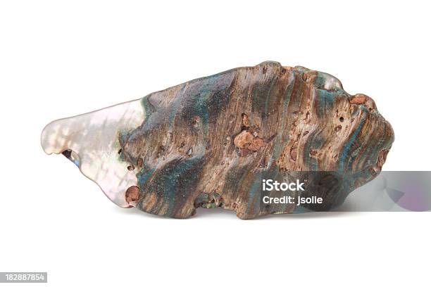 Closeup Of An Abalone Shell Stock Photo - Download Image Now - Abalone, Animal Shell, Clipping Path