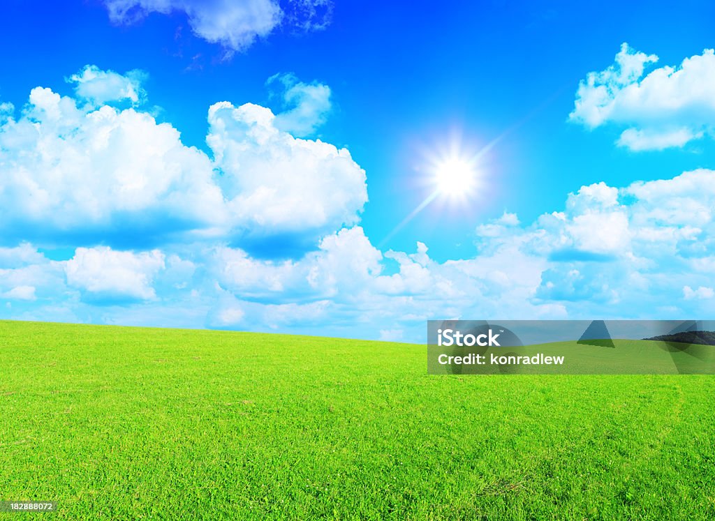 Grünen Rasen, Himmel und Sonne-XXXL Landschaft - Lizenzfrei Agrarbetrieb Stock-Foto
