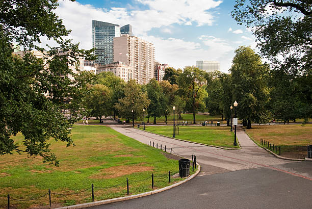 istock Green lawn and blue sky at Boston Common 182888141