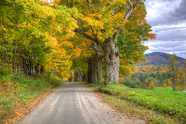 istock Early Autumn in Vermont 182888182