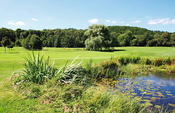 istock Small lake in green meadow 182888214