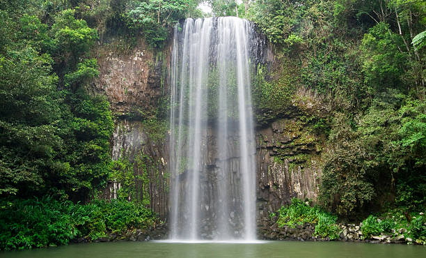 cataratas de millaa millaa millaa millaa - rainforest waterfall australia forest fotografías e imágenes de stock