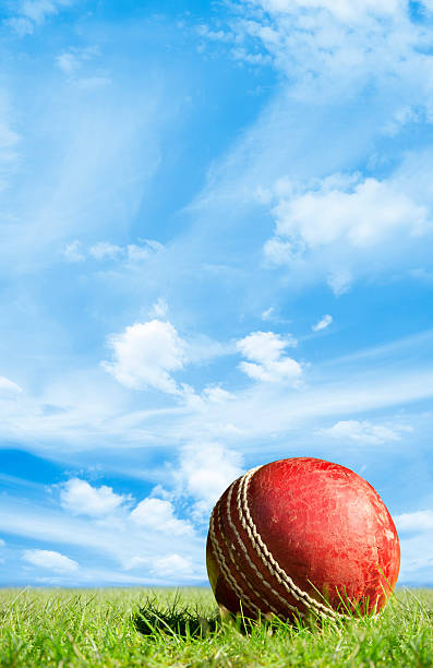 istock Red leather cricket ball on green grass under blue sky 182888737
