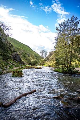 A small, tranquil stream winds its way through a lush green valley, framed by a canopy of trees