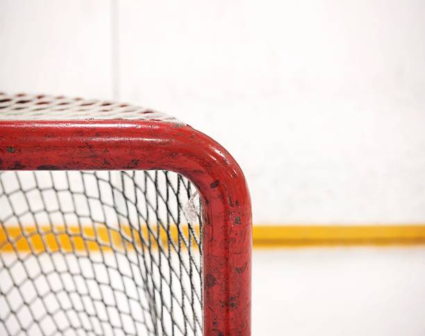 istock Hockey net detail 182889355